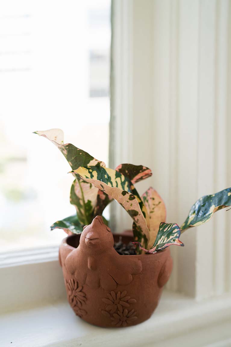 Rakshana Chicken Plant Pot - Terracotta - Osadia Concept Store