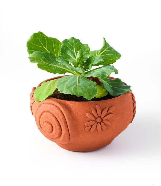 Rakshana Snail Plant Pot - Terracotta - Osadia Concept Store