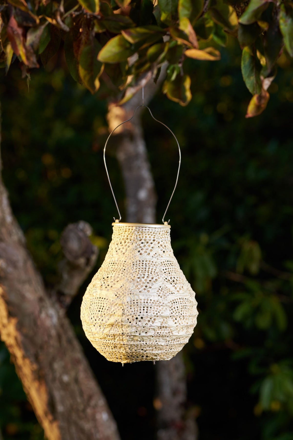 Soji Stella - Bulb - 8" Solar Lantern