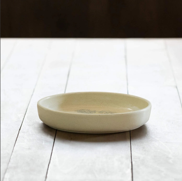 Ceramic Pasta Bowl 400ml | Handcrafted Eggshell Finish Stylish Serving Bowl