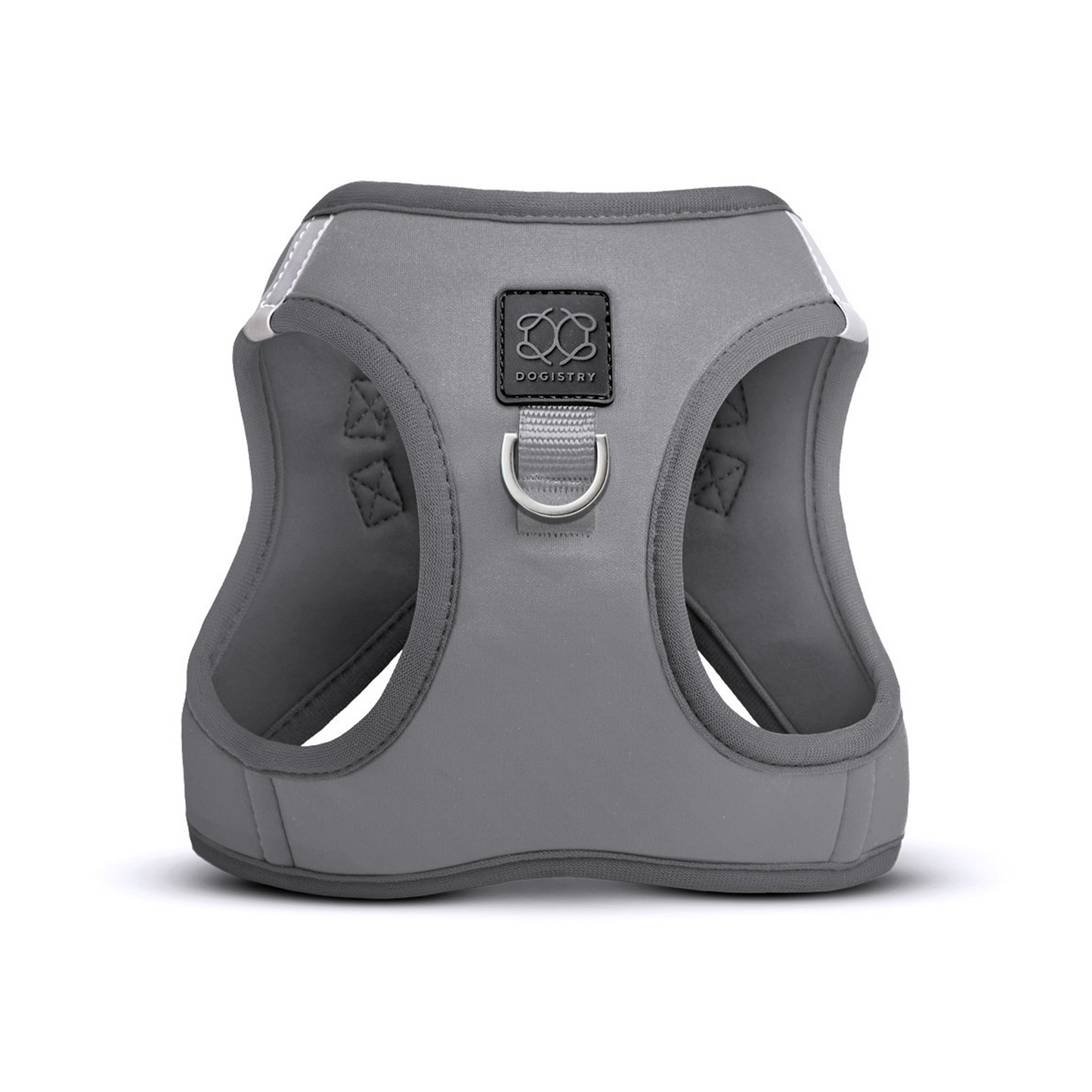 SoHo Dog Walking Set - Steel