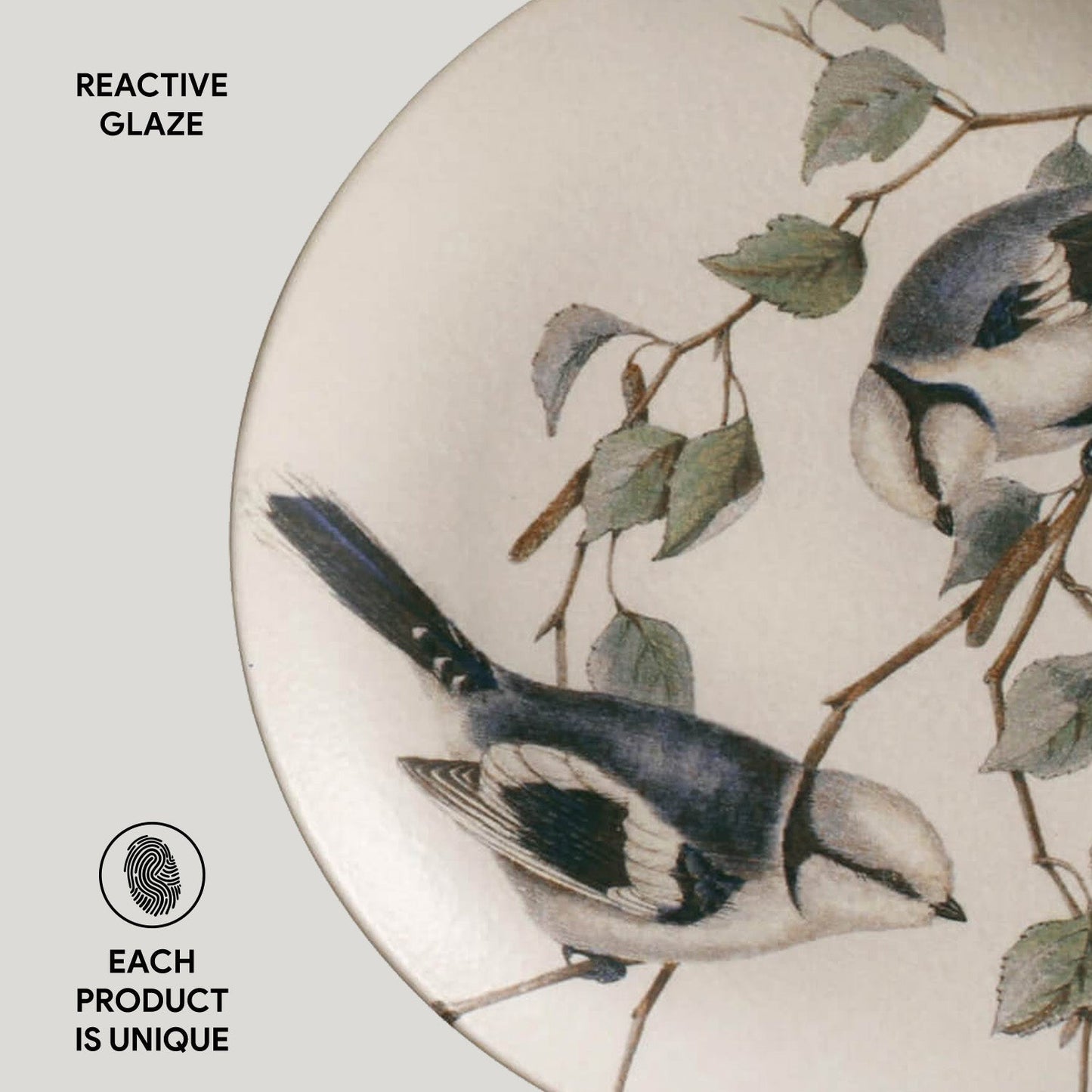 Dessert Plate Set of 6