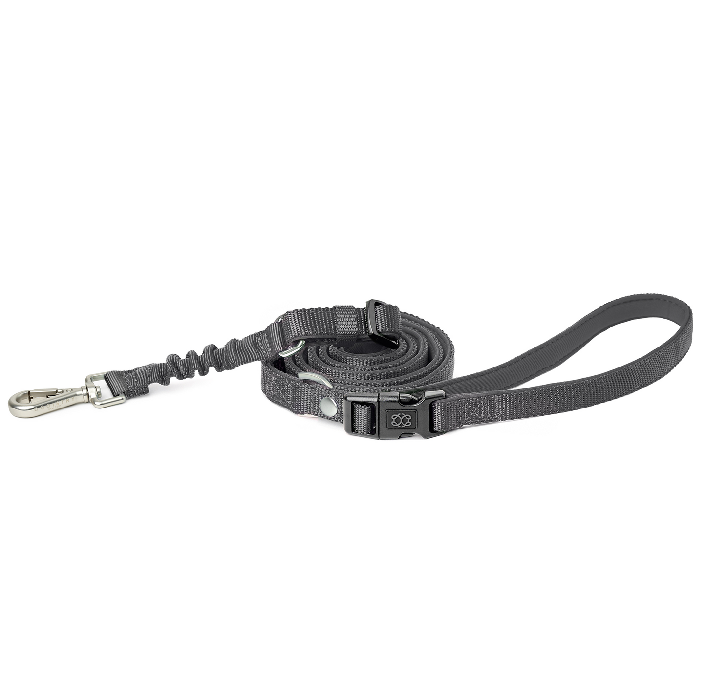 SoHo Dog Walking Set - Steel