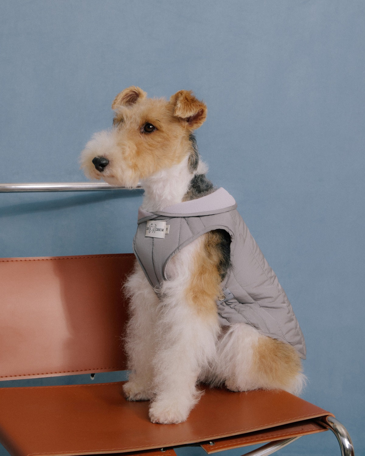 The Gemina | Reversible Quilted Dog Coat | Twilight Purple
