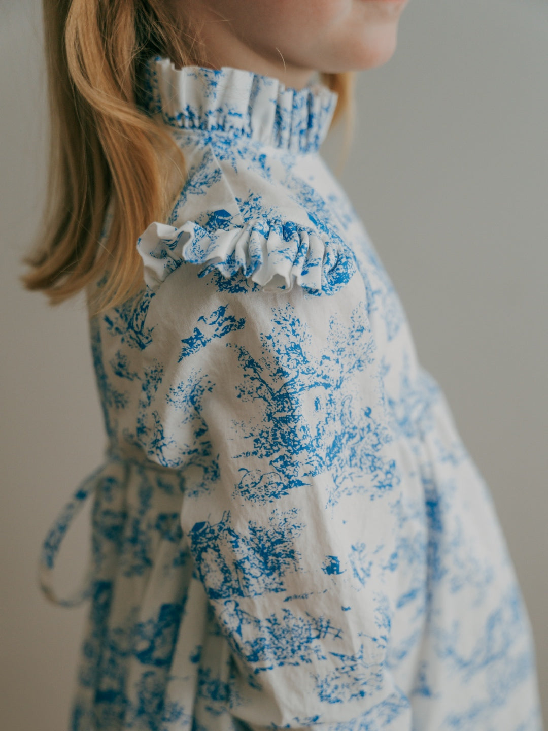 Aoki Dress-Blue Toile | Long Sleeve