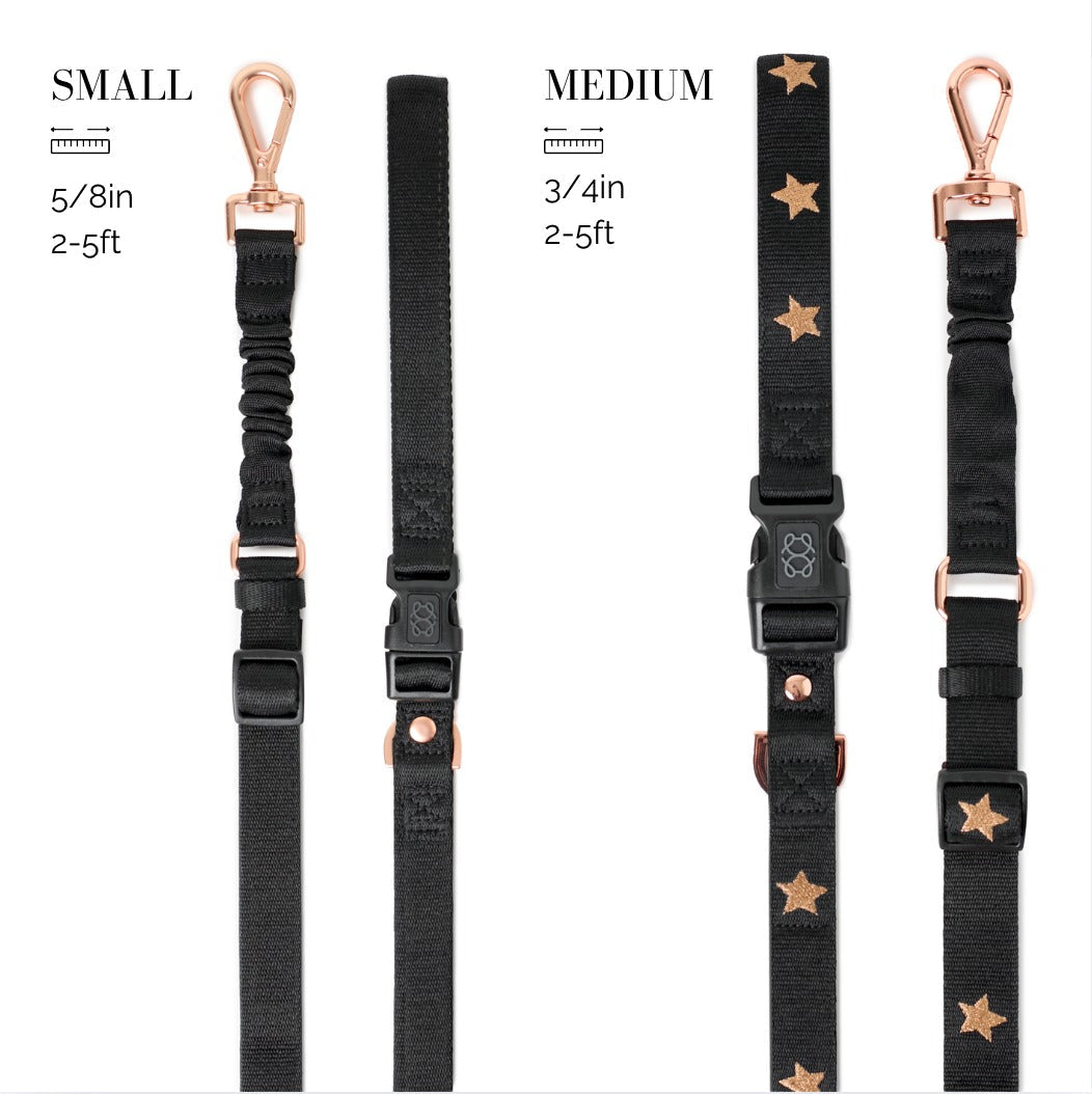 City Dog Leash - Solid Black for Small Rockstar