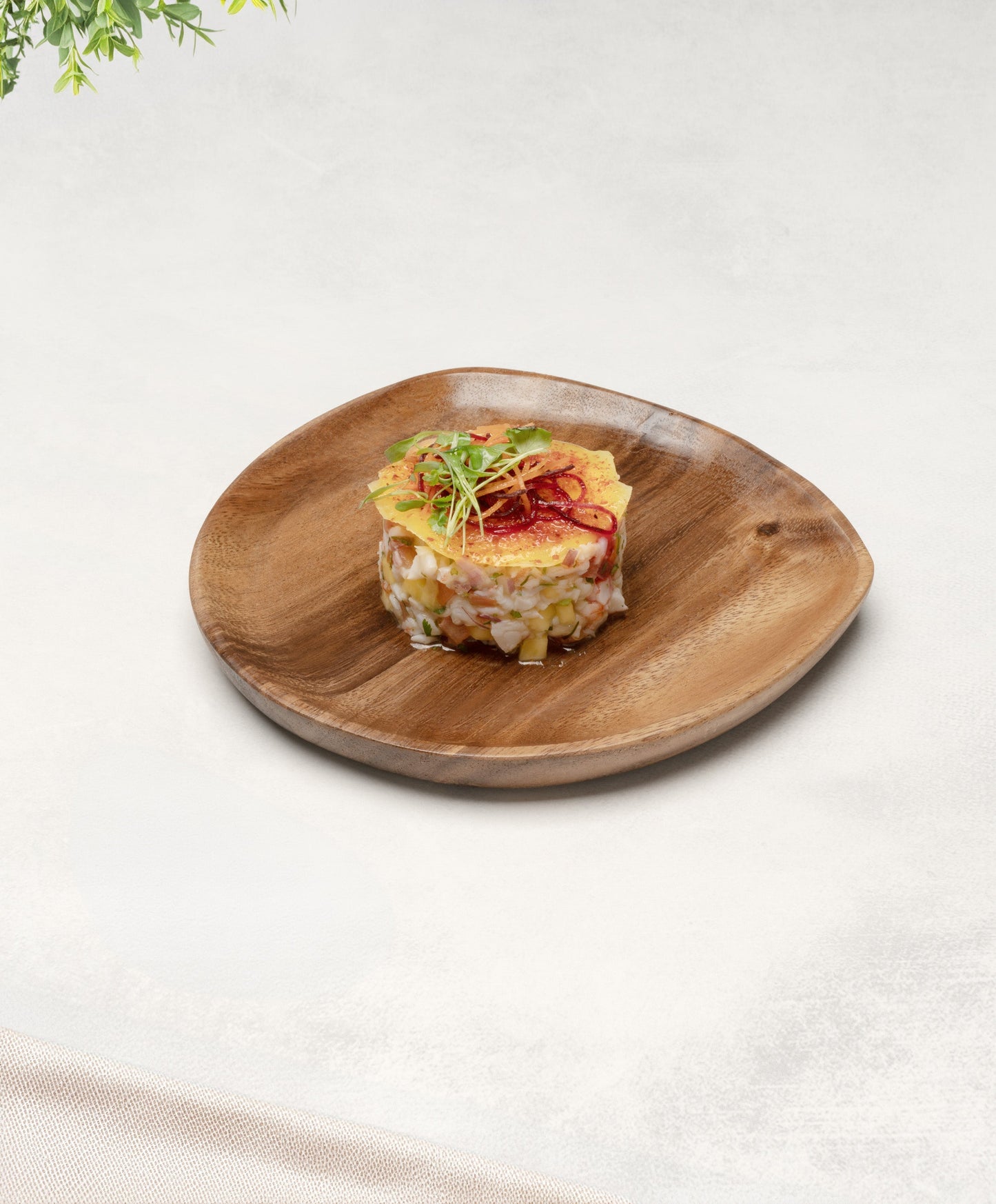 Foree Wooden Plate Set - Medium