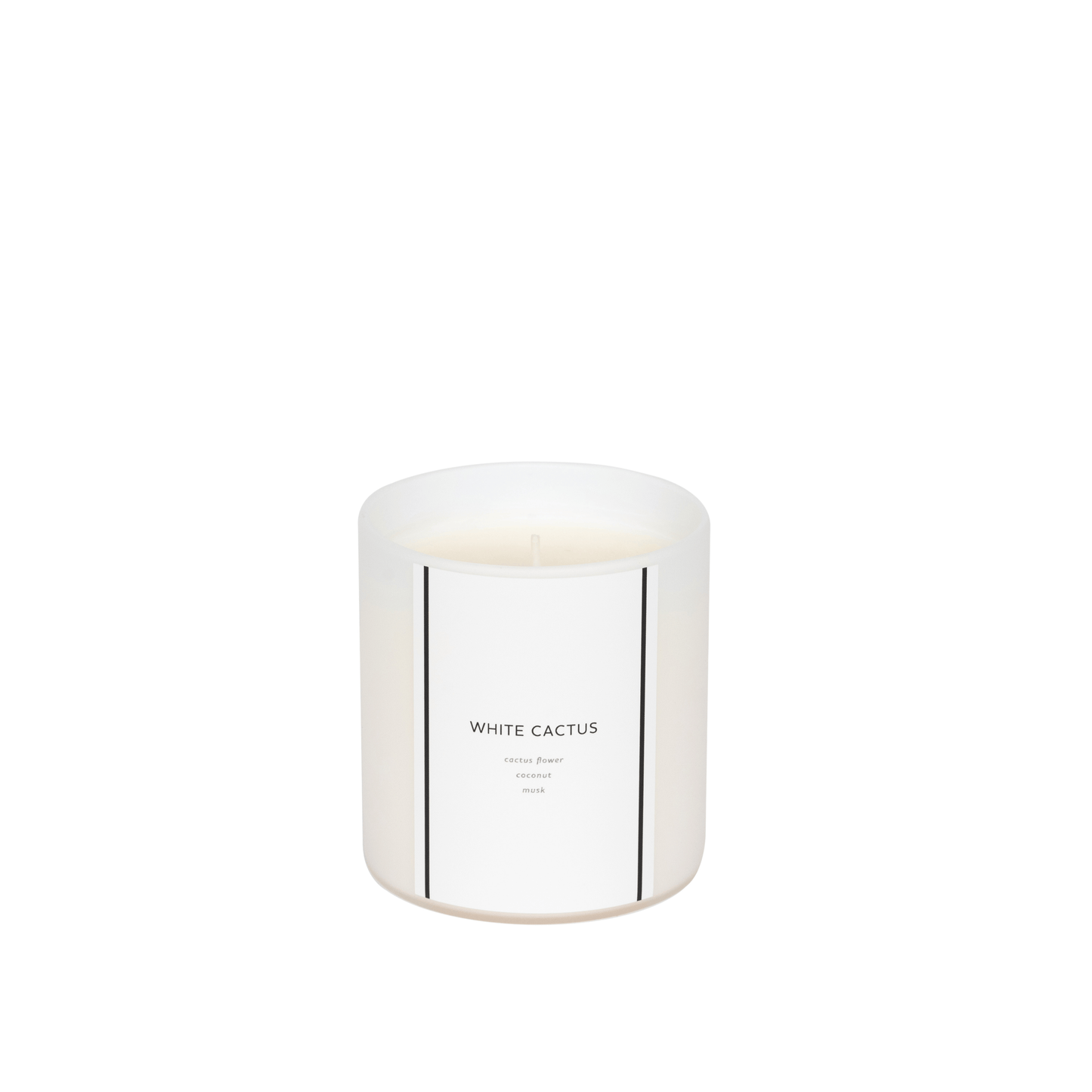 White Cactus | 10 oz