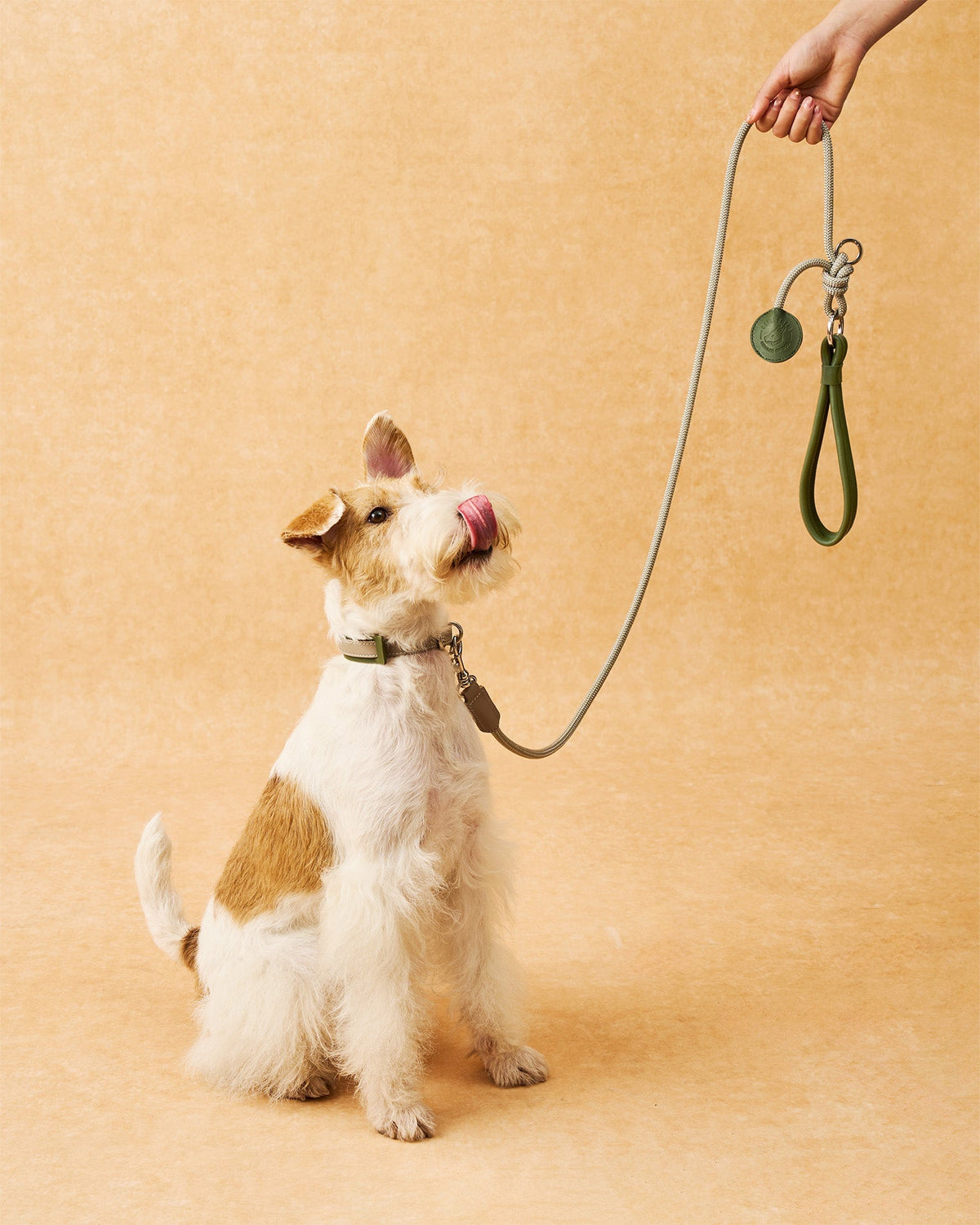 The Alinea Leather Dog Leash | Willow Sage