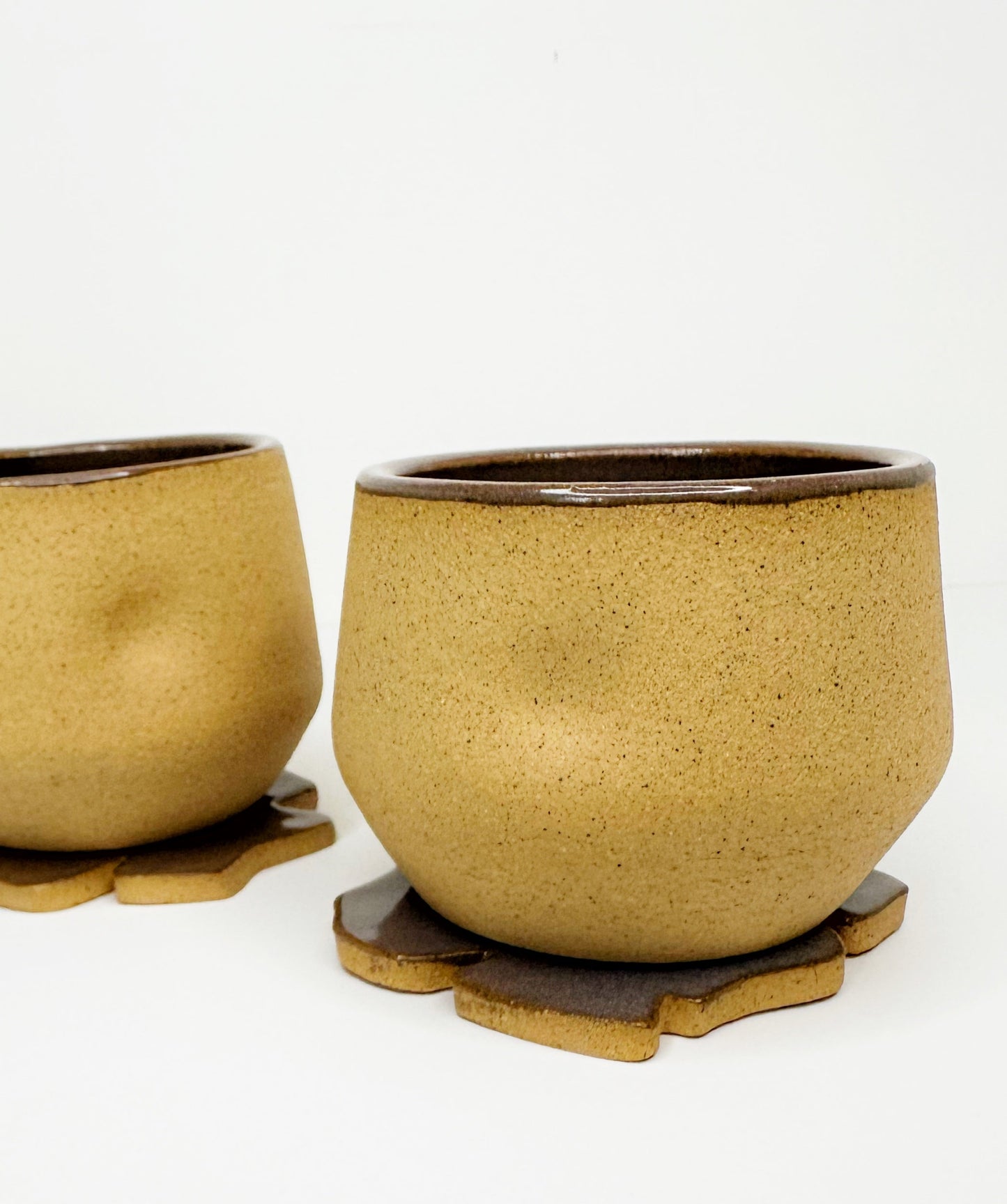 FRECKLES CUP SET (2 cups + 2 flower coaters)