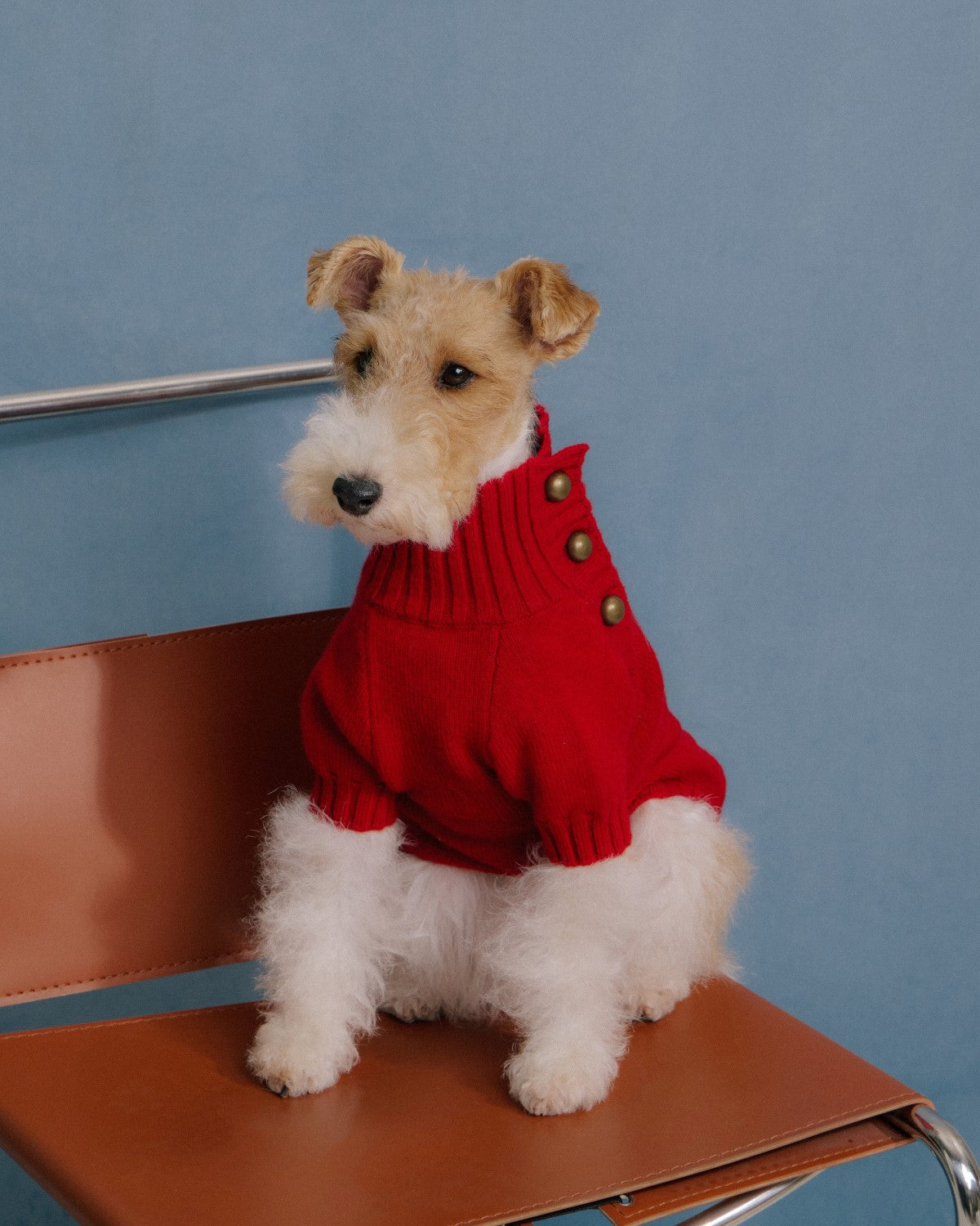 The Lutetia | Merino Wool Dog Sweater | Red