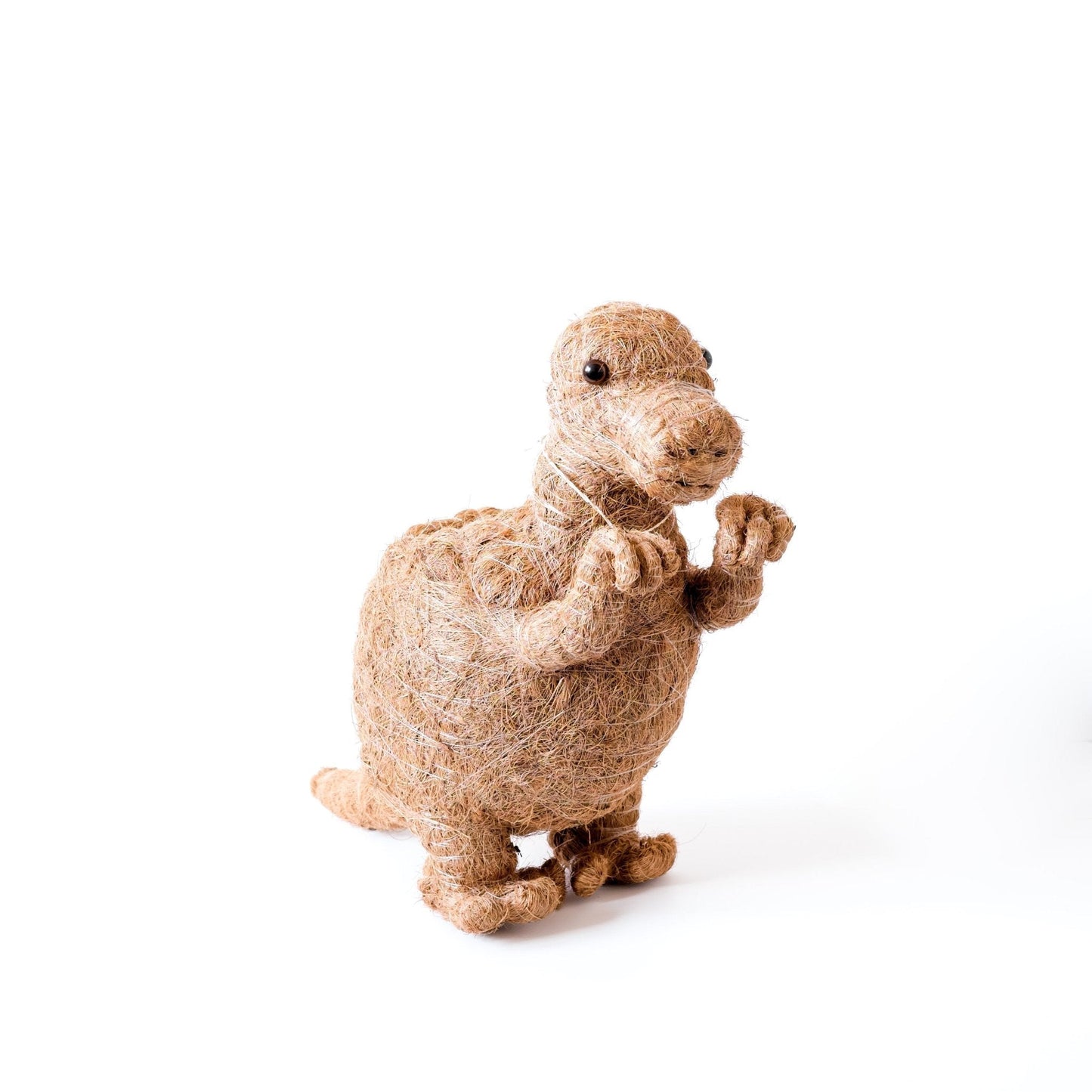 Baby T-Rex Planter - Handcrafted Pots | LIKHÂ