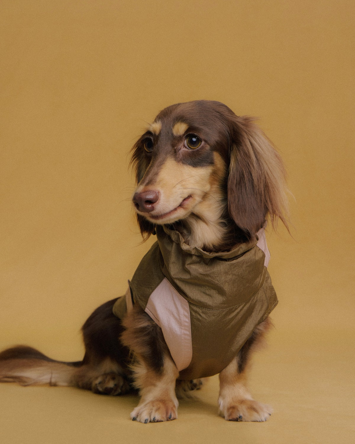 The Ventus | Reflective Waterproof Dog Raincoat | Rose Sandalwood