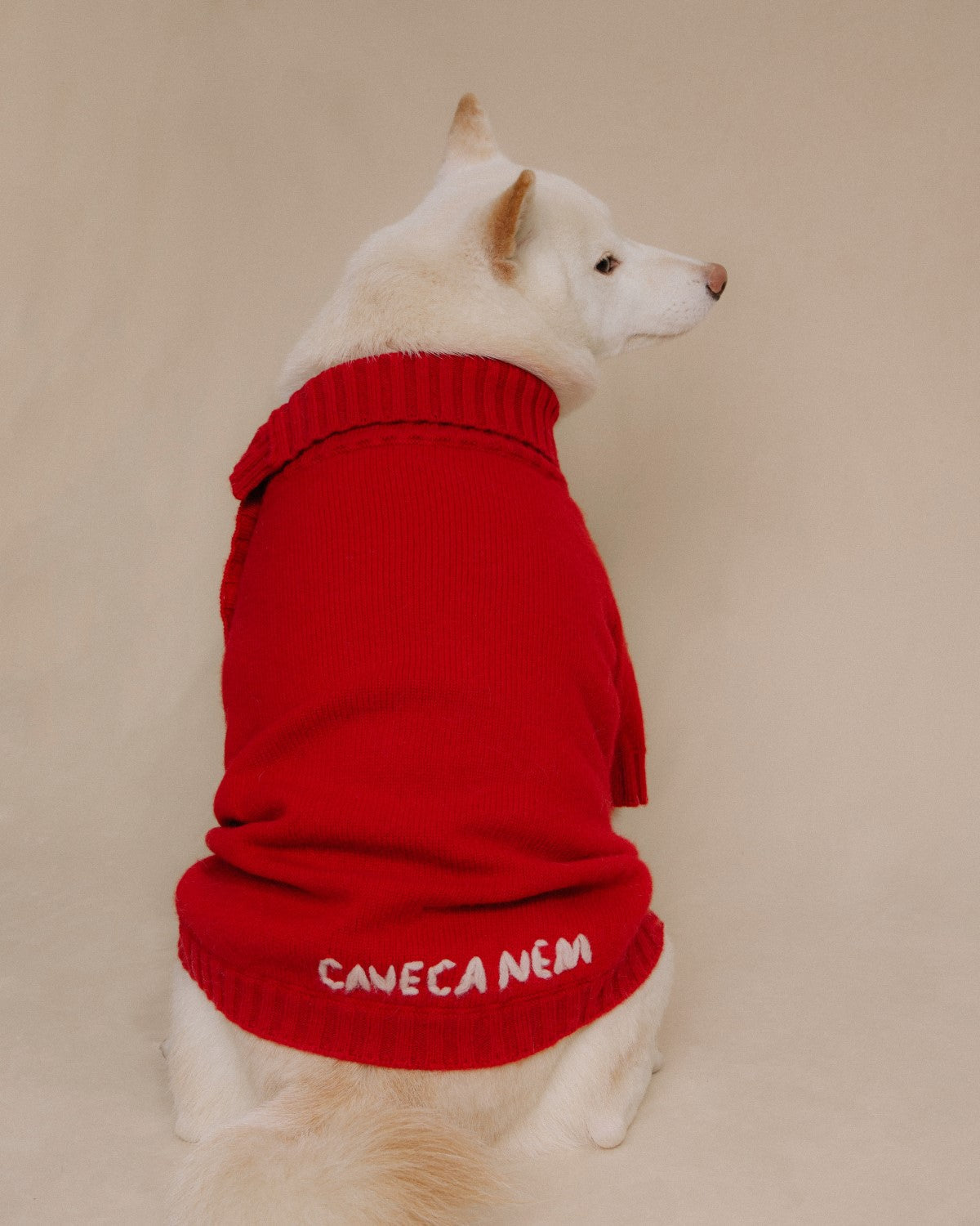 The Lutetia | Merino Wool Dog Sweater | Red