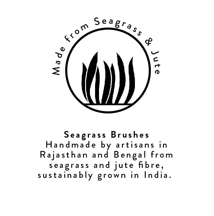 S/4 Seagrass Brushes