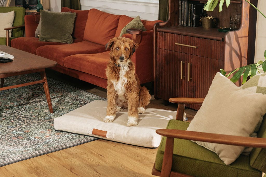 Ecru | Modern Dog Bed or Bed Cover