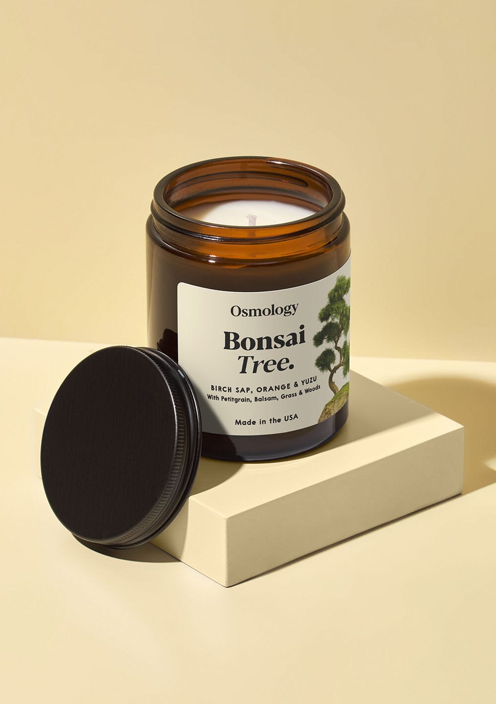 Bonsai Tree Scented Jar Candle - Birch Sap Orange and Yuzu