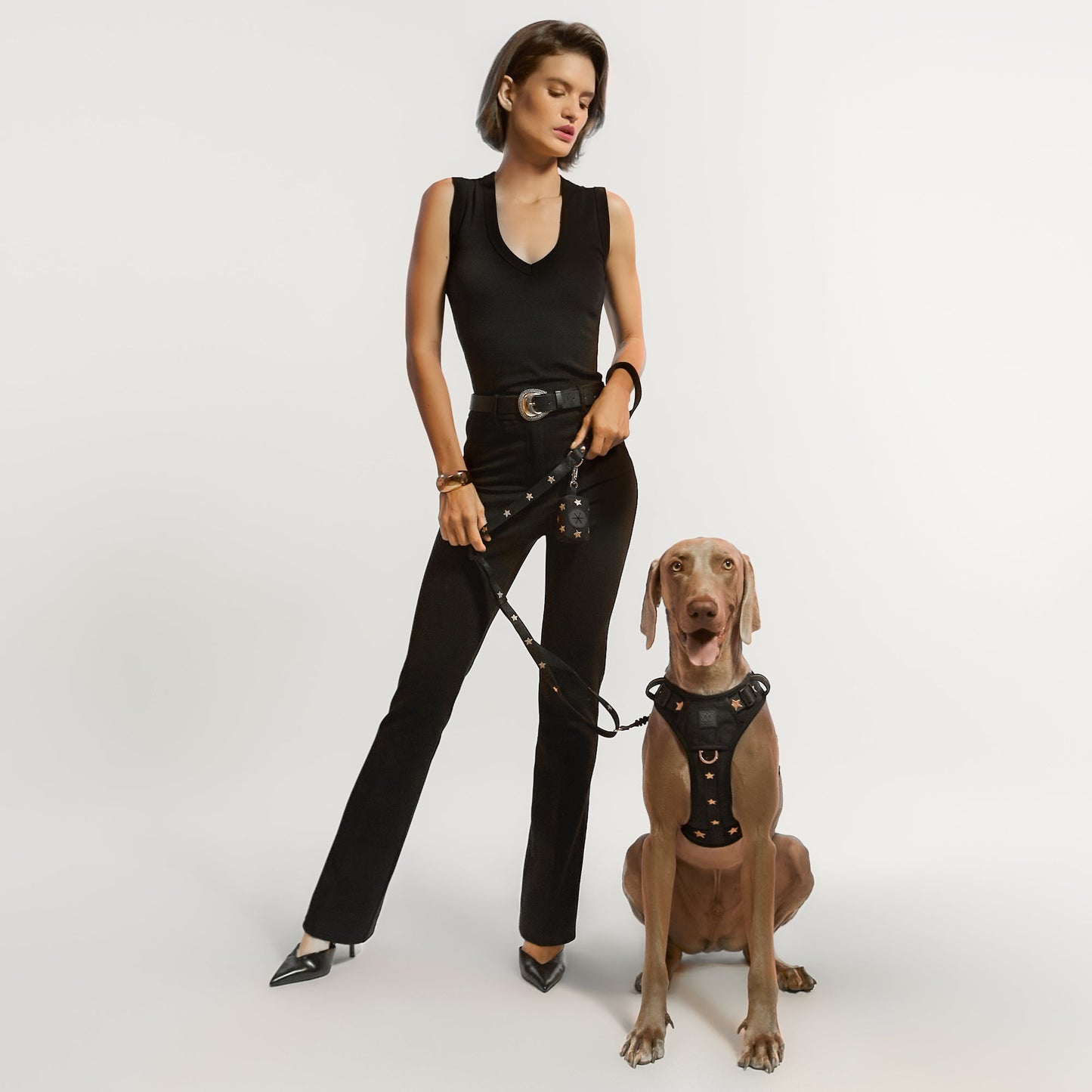 NoMad Adjustable Dog Walking Set - Rockstar