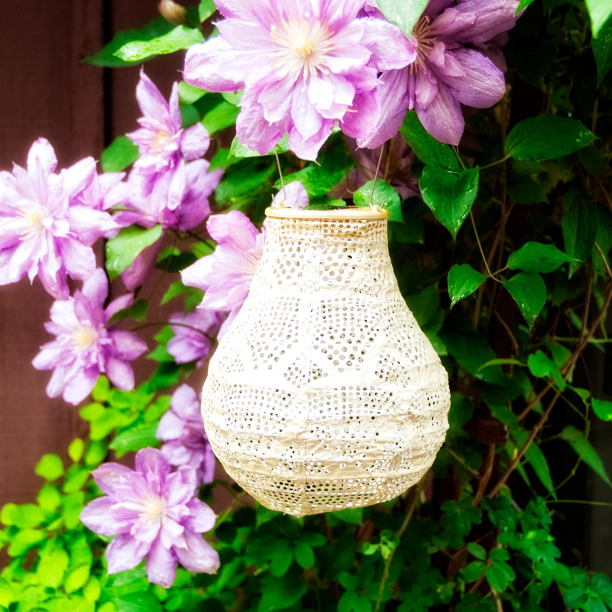 Soji Stella - Bulb - 8" Solar Lantern