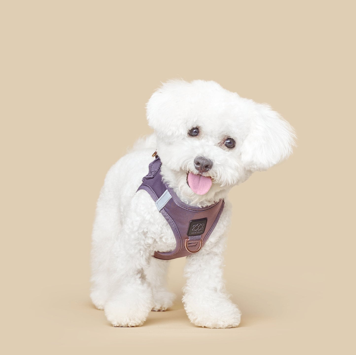 SoHo Dog Walking Set - Lilac Gray