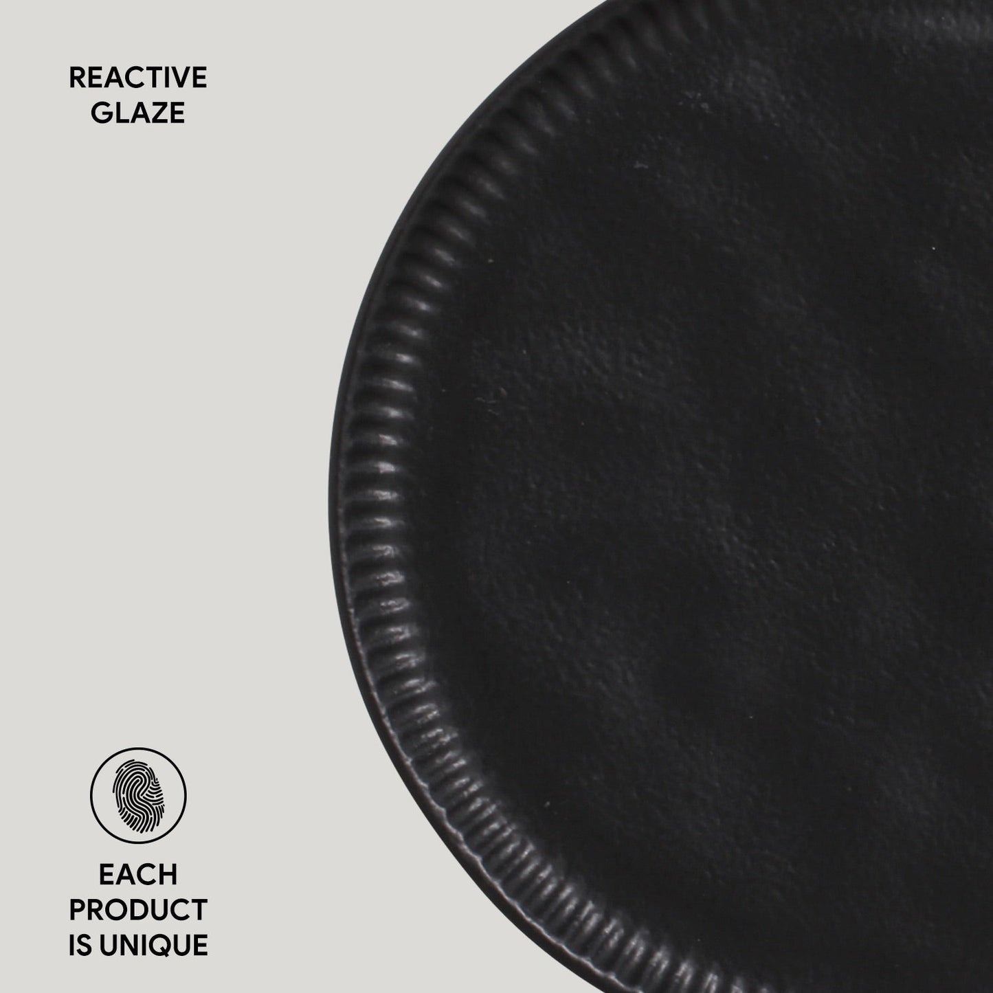 Dinner Plate Set of 6