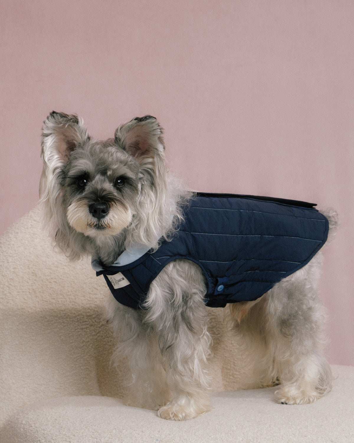 The Gemina | Reversible Quilted Dog Coat | Dawn Blue