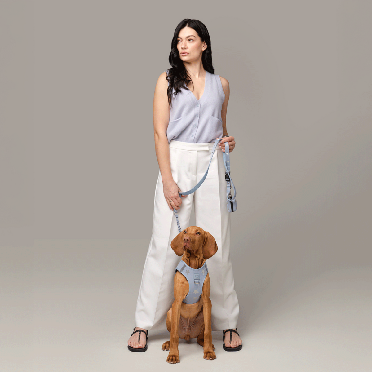 City Leash Set - Rockstar Hudson