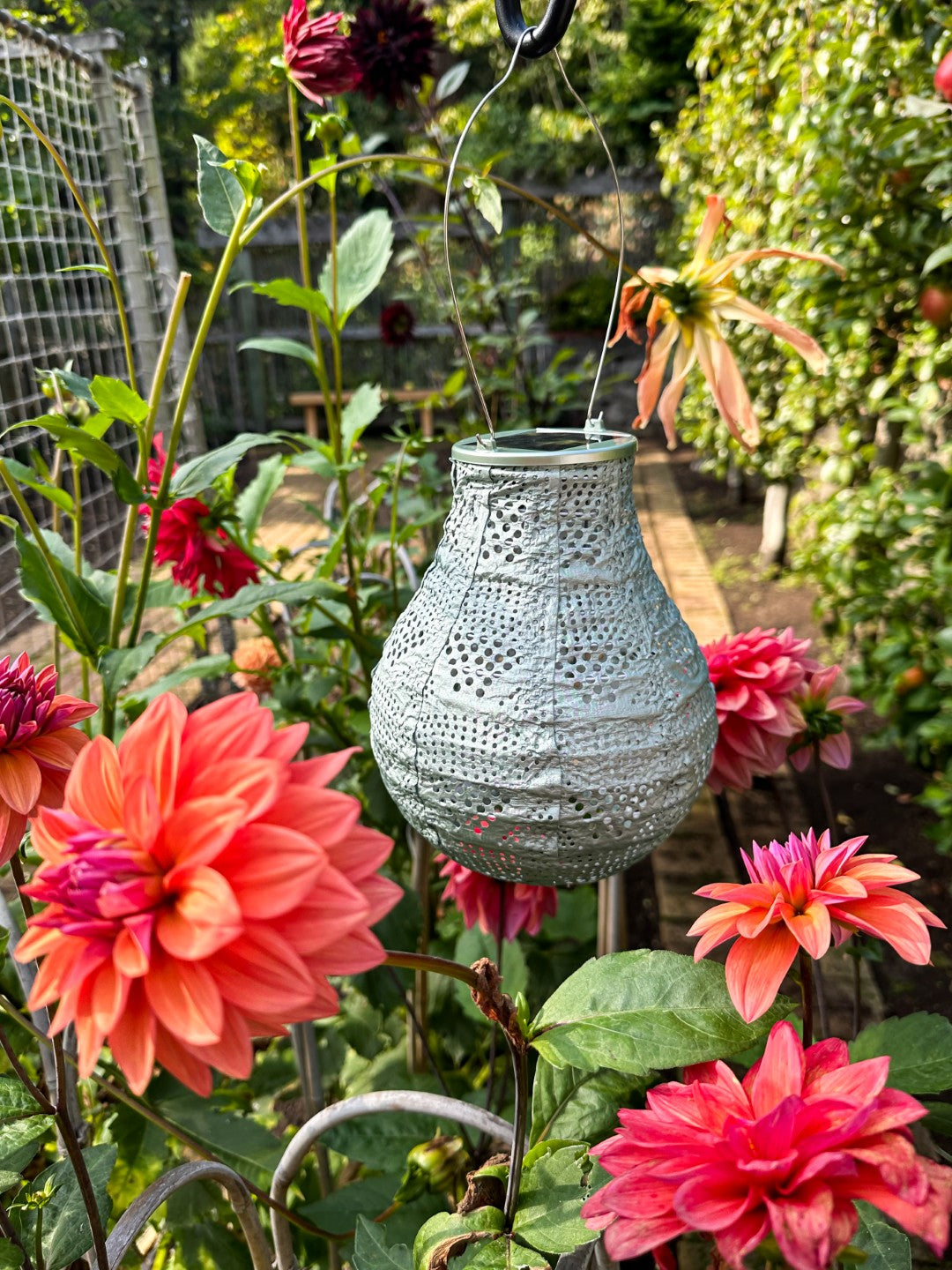 Soji Stella - Bulb - 8" Solar Lantern