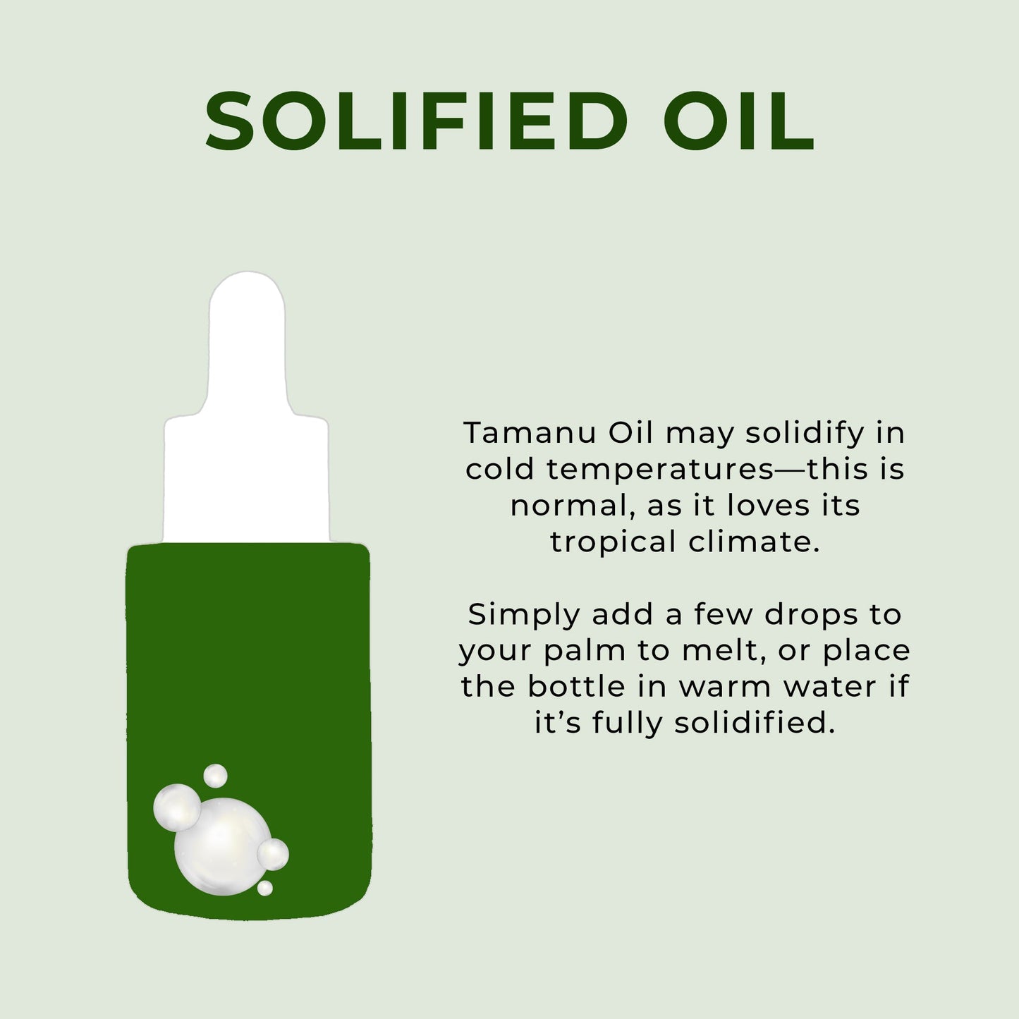 Organic Tamanu Oil