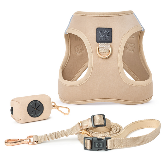 SoHo Dog Walking Set - Dune
