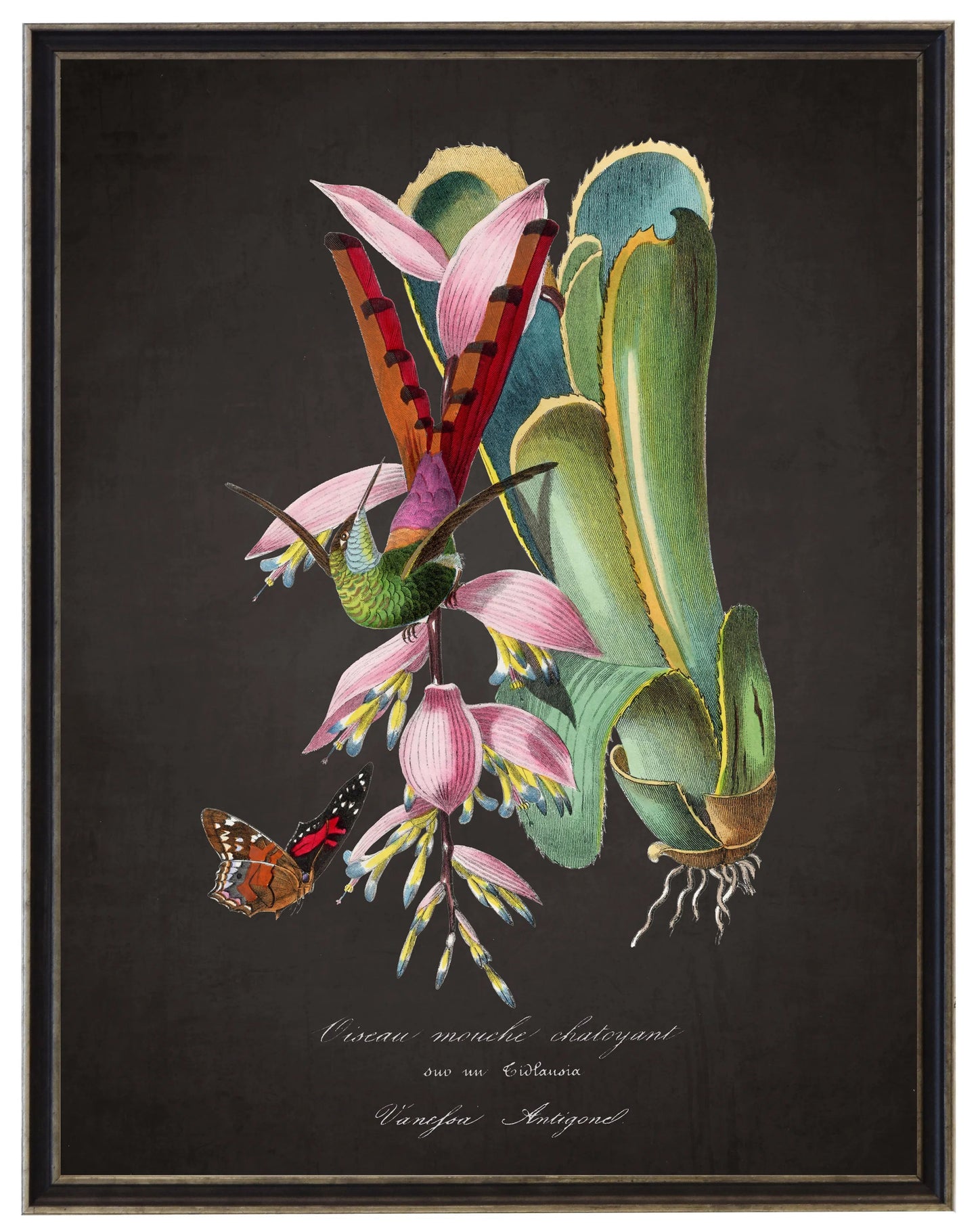 Vintage hummingbird and flower print on a distressed black background in a black and brushed silver frame sized 16x20