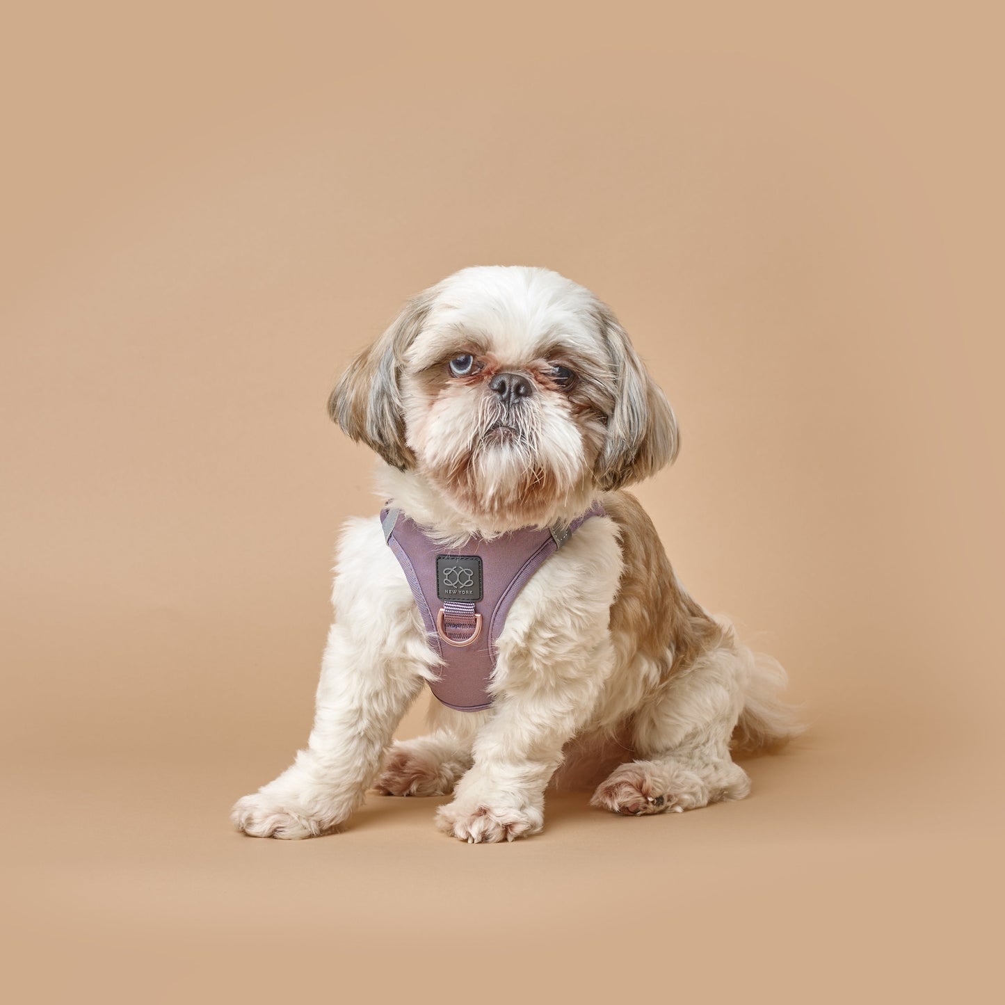 SoHo Dog Walking Set - Lilac Gray