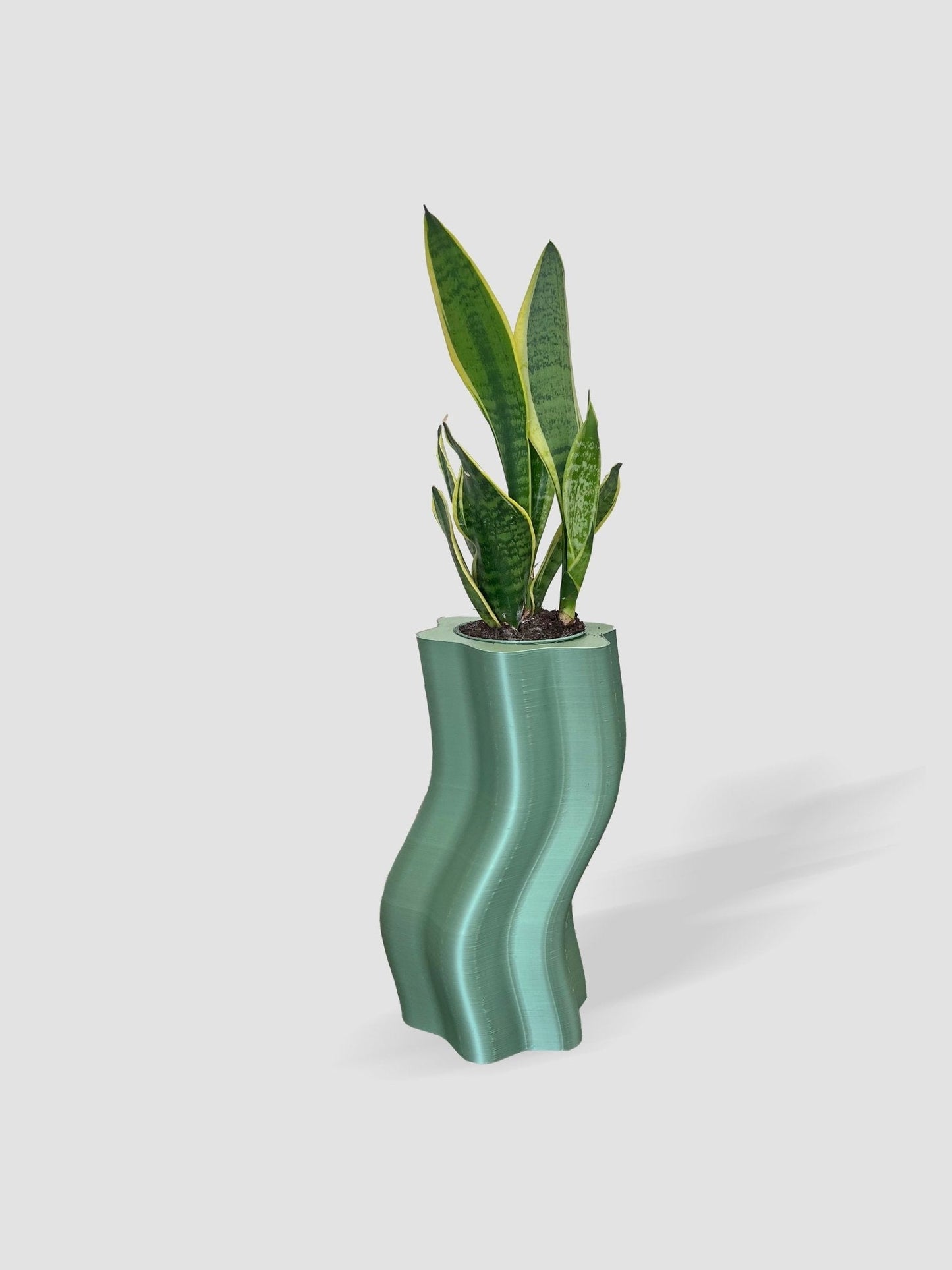 Frosting Large Planters