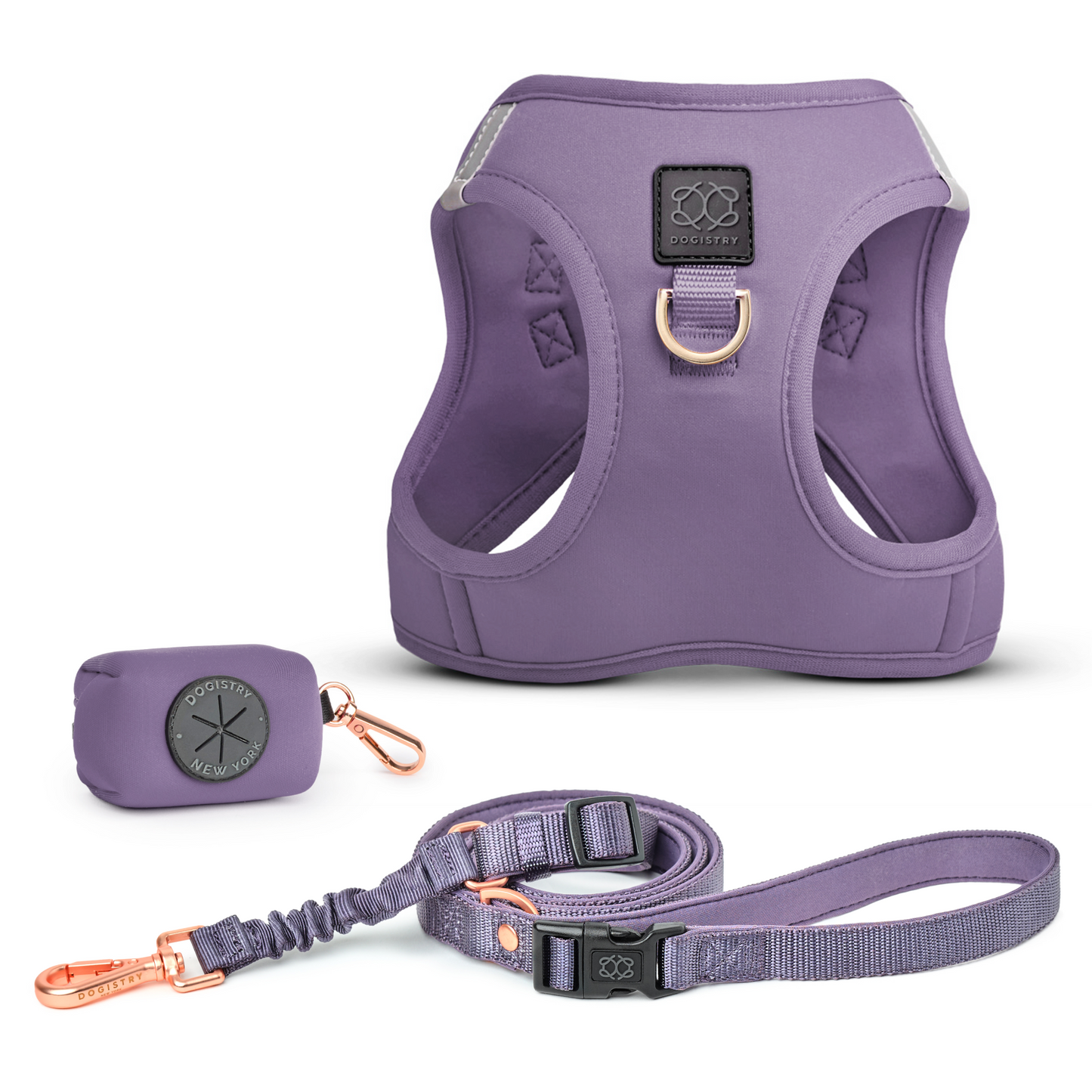 SoHo Dog Walking Set - Lilac Gray