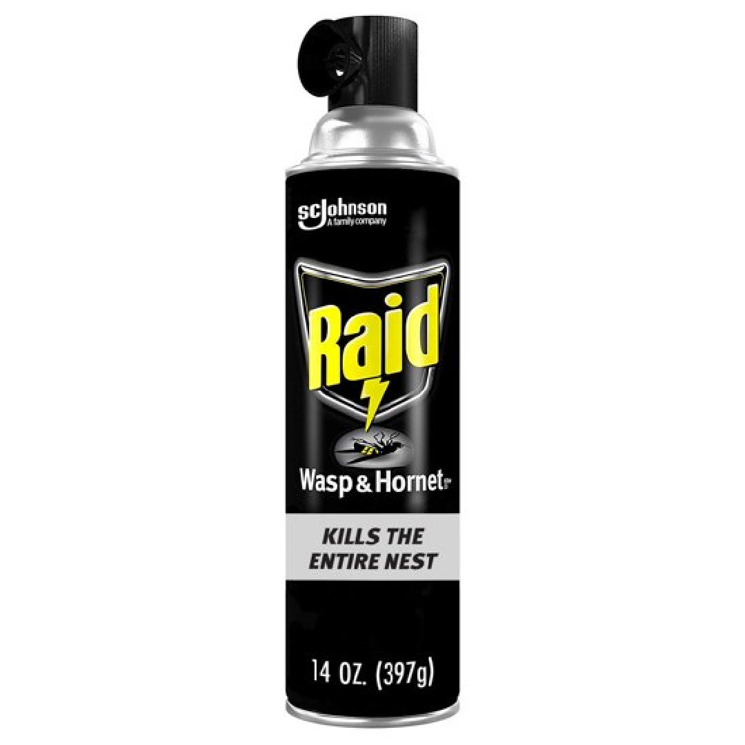 Raid Wasp And Hornet Killer, 14 Oz Aerosol Spray