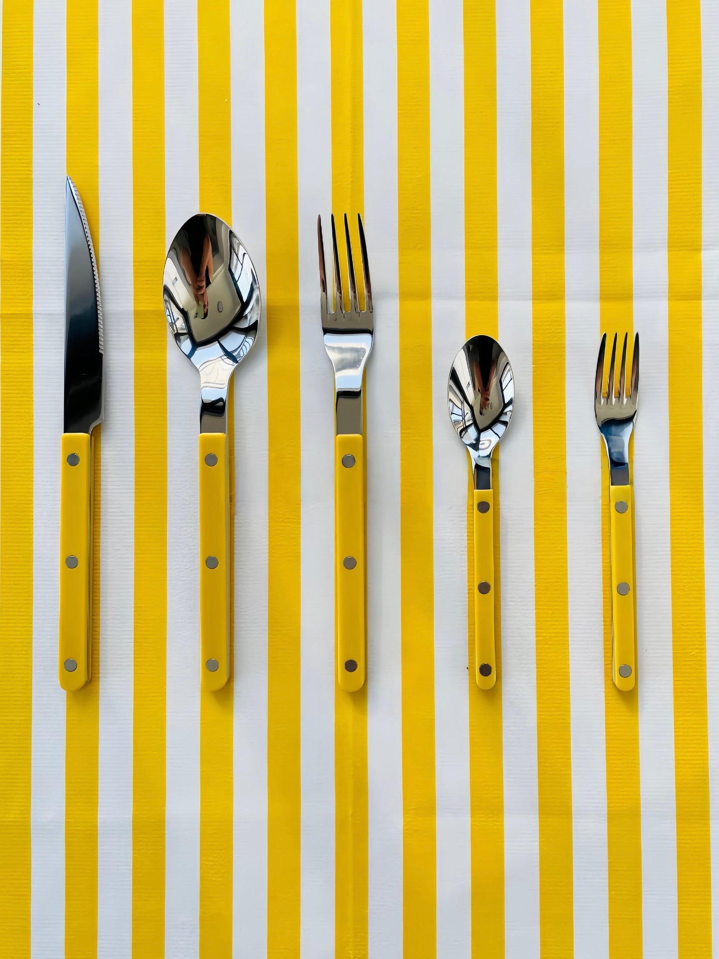 S/10 Dopamine Stainless Steel Rivet Flatware, Contemporary Bistrot Style Cutlery