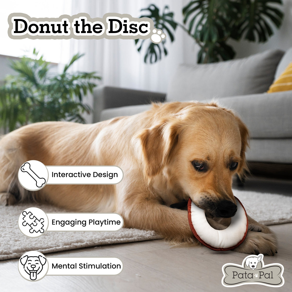 Dog Flying Disc Eco-Friendly Cotton Canvas Fetch Toy – Disk