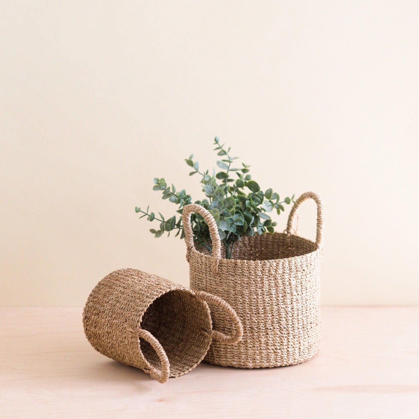 S/2 Natural Tabletop Mini Basket with Handle