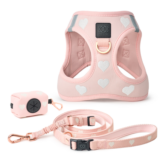 SoHo Dog Walking Set - Sweetheart