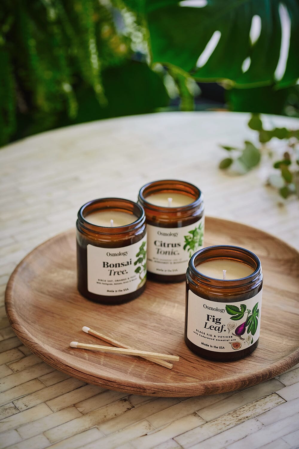 Fig Leaf Scented Jar Candle - Black Fig Vetiver and Cedarwood