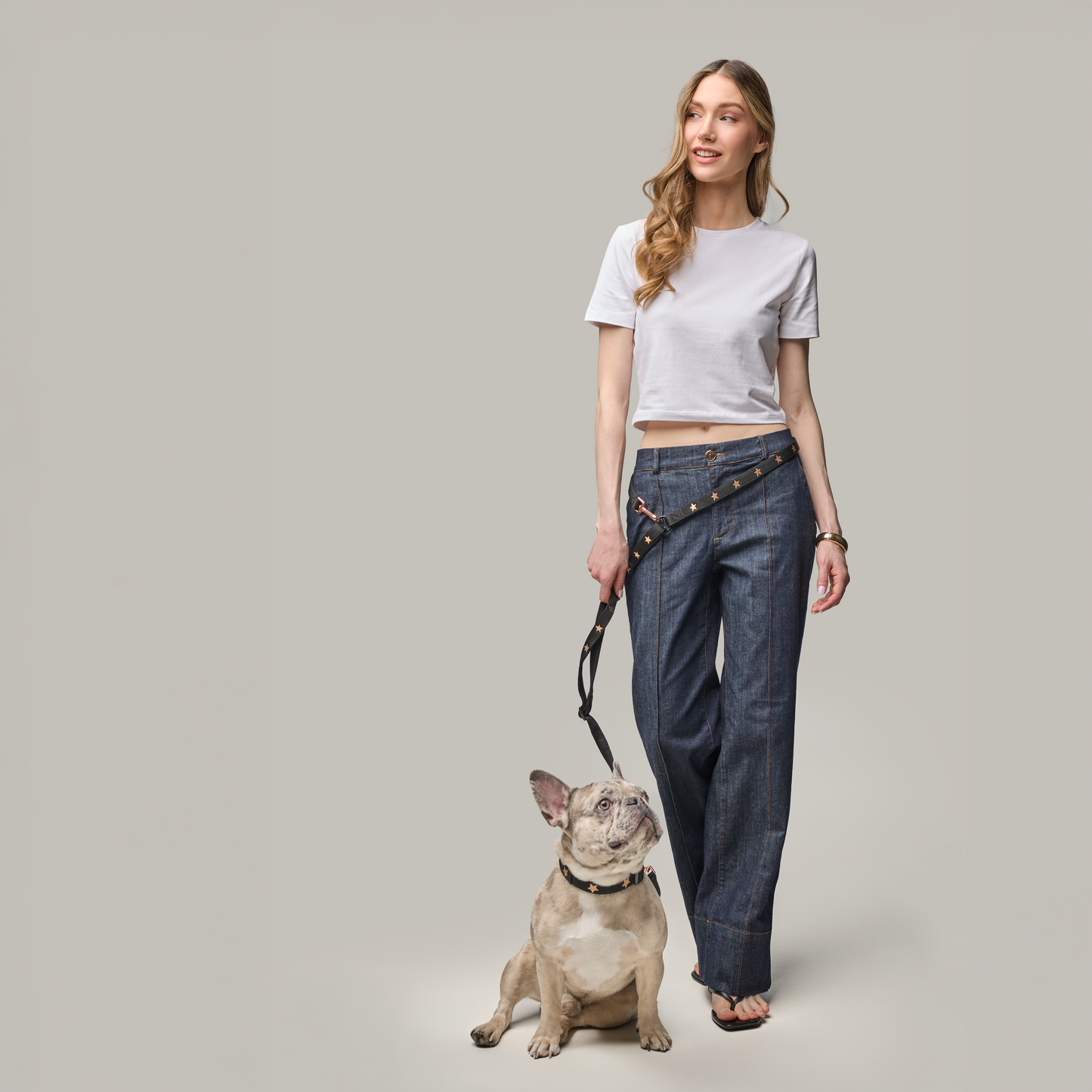 Metro Hands Free Leash - Rockstar