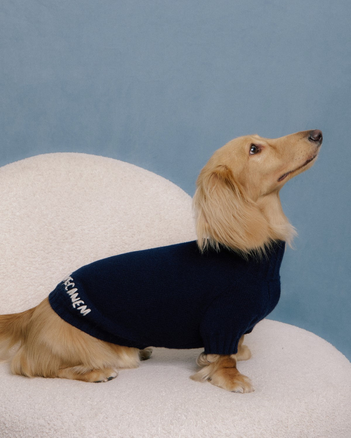 The Lutetia | Merino Wool Dog Sweater | Navy Blue