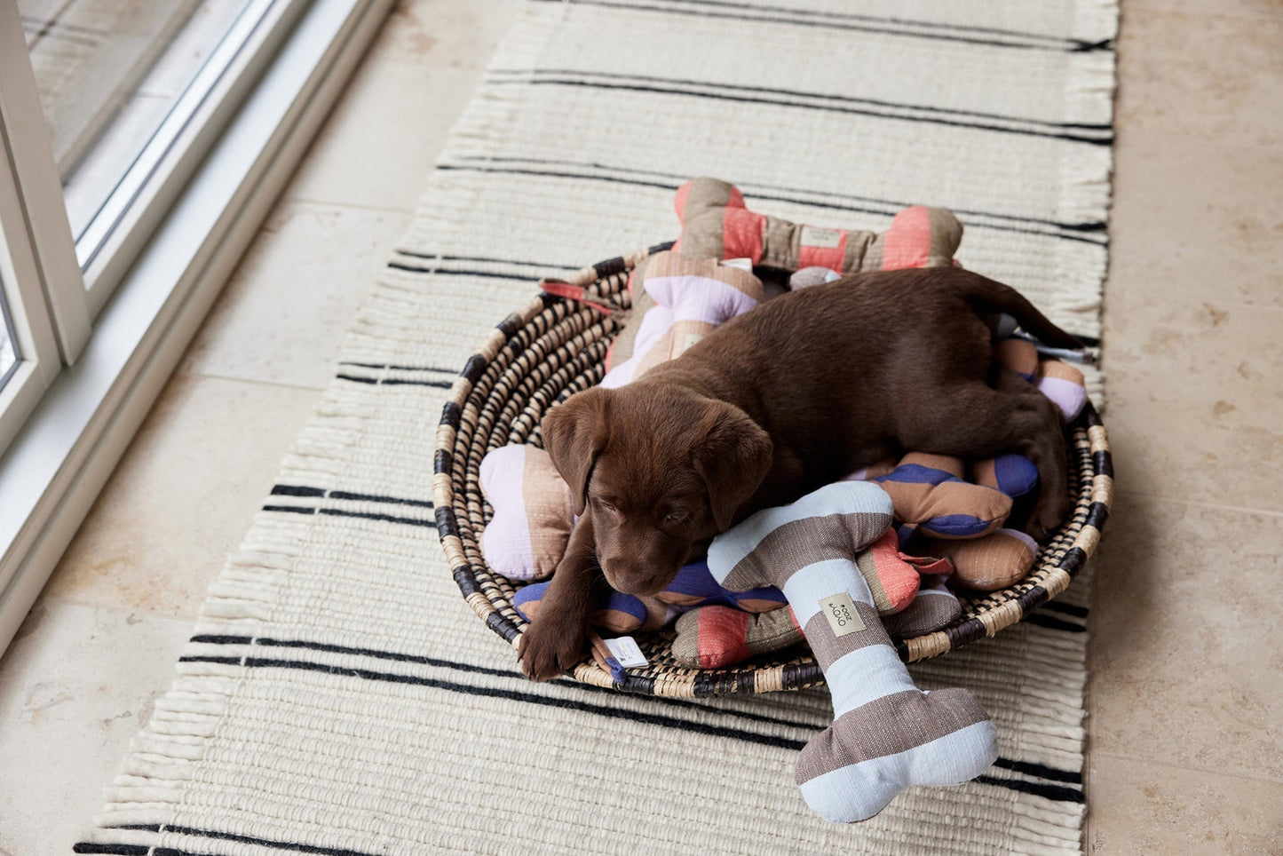 Ashi Dog Toy Large - Caramel/Blue