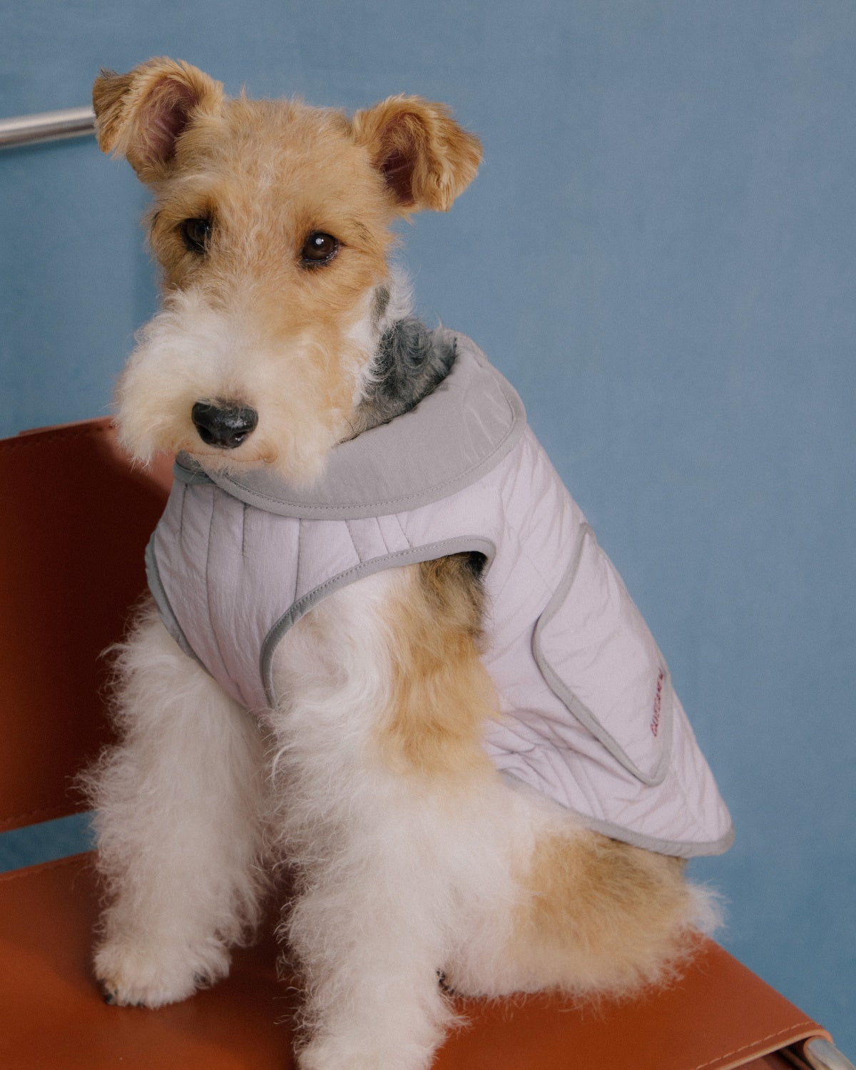 The Gemina | Reversible Quilted Dog Coat | Twilight Purple