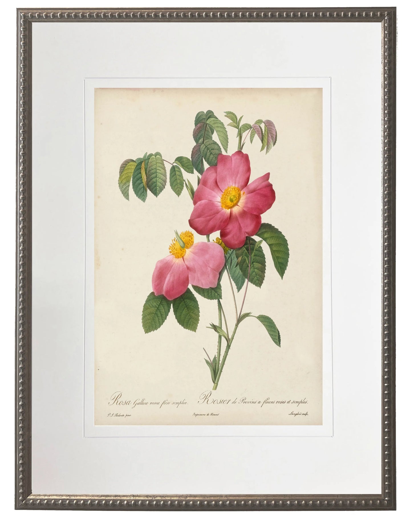 Vintage pink rose print matted in a cream mat in a beaded pewter frame sized 16x20