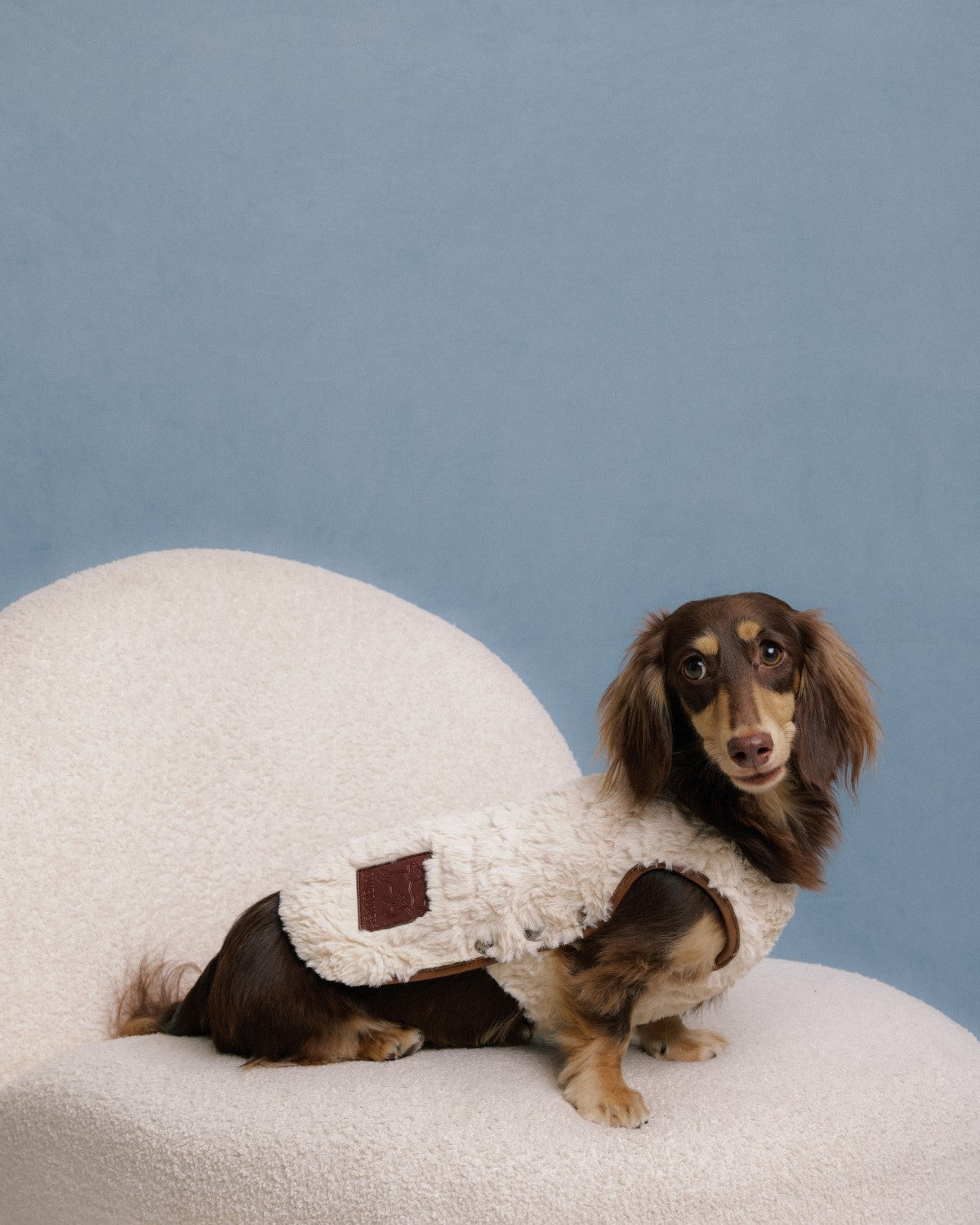 The Pastoris | Luxury Faux Fur Dog Coat | Apricot Caramel