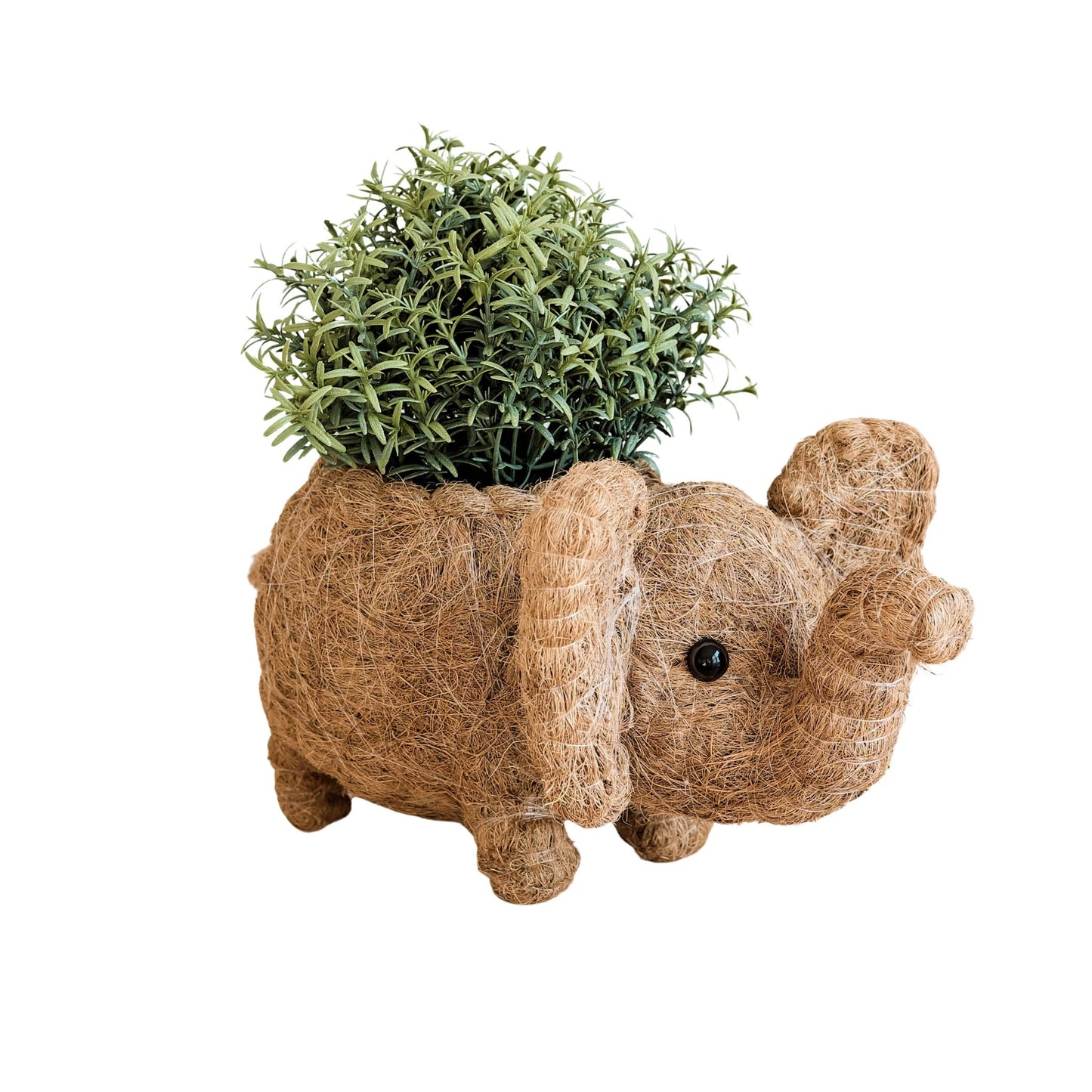 Elephant Plant Pot