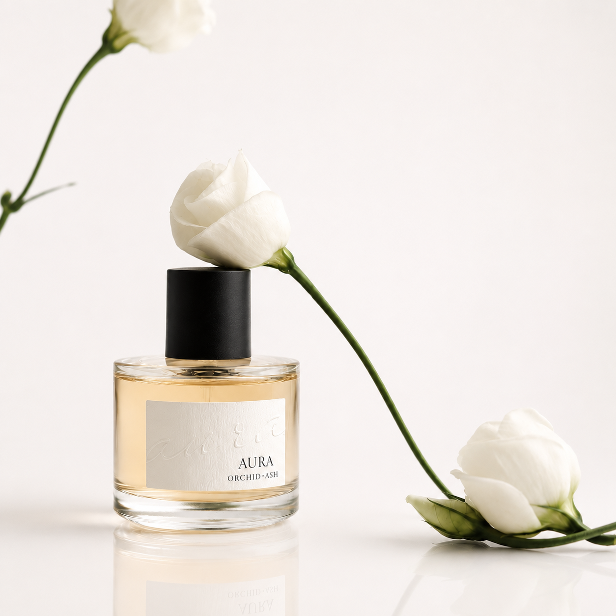 grapefruit + tonka bean | AURA Perfume