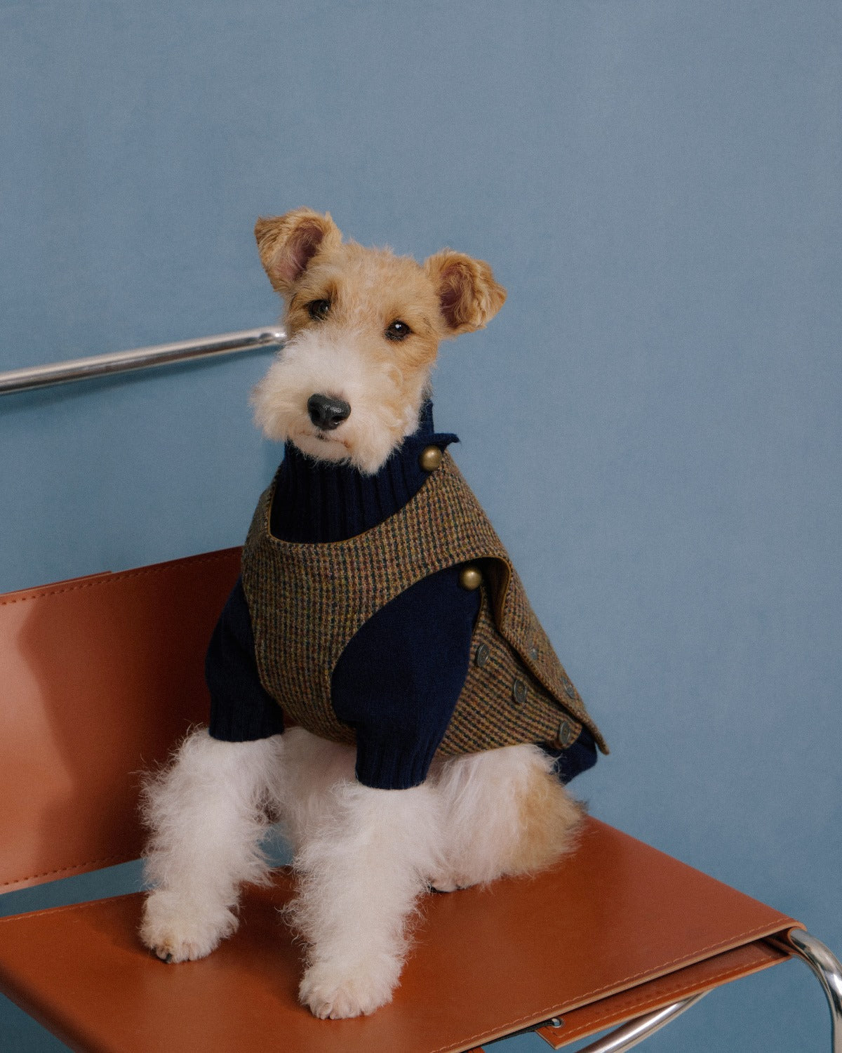 The Scotia | Wool Tweed Dog Vest | Houndstooth