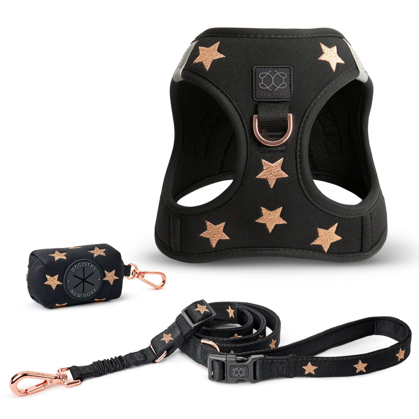 SoHo Dog Walking Set - Rockstar